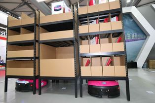 Impressions from transport logistic China